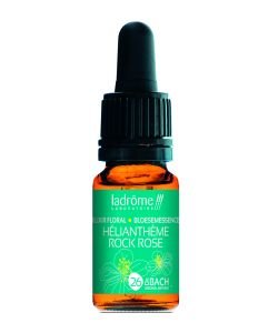 Hélianthème - Rock Rose (n°26) BIO, 10 ml